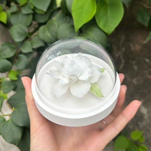 Tiger-headed Jasmine