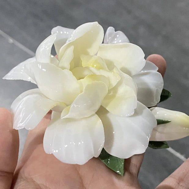 Gardenia