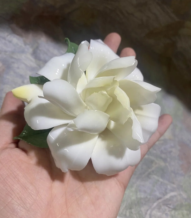 Gardenia