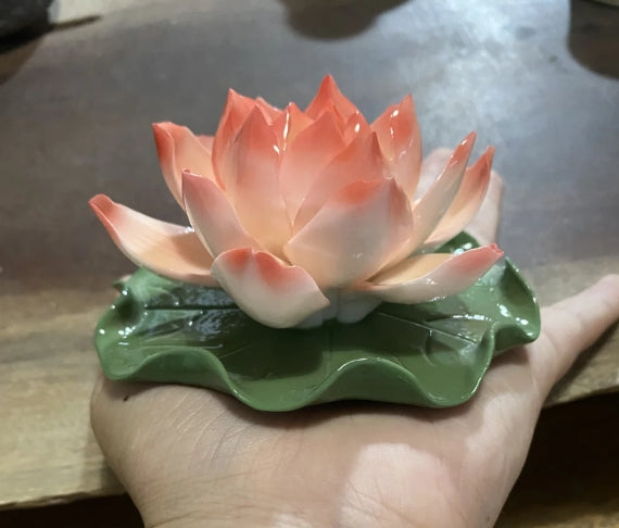 Pink lotus