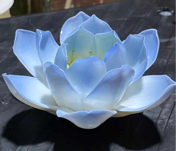 Blue Water Lily