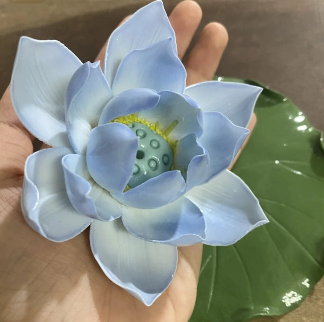 Blue Water Lily