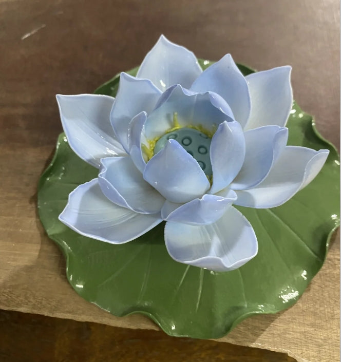 Blue Water Lily